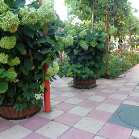 Casa Munteanu * Eforie Nord