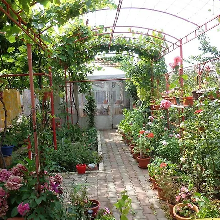 Séjour chez l'habitant Casa Munteanu *