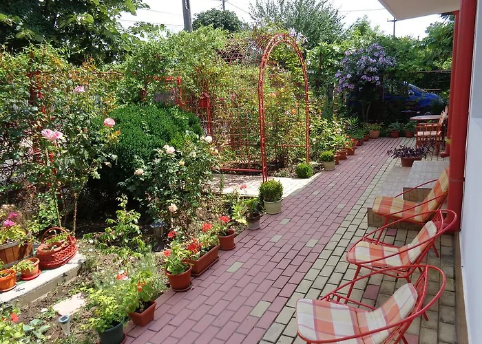 Casa Munteanu בית אירוח אפורי נורד