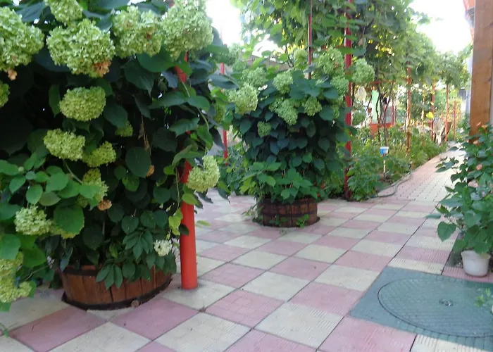 Casa Munteanu * Эфорие Норд