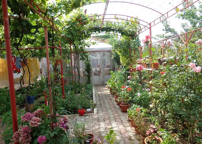 בית אירוח Casa Munteanu *